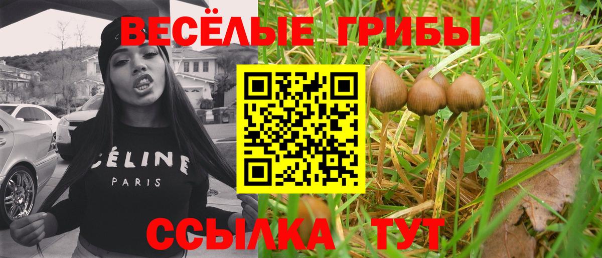 Псилоцибиновые грибы прущие грибы Выборг