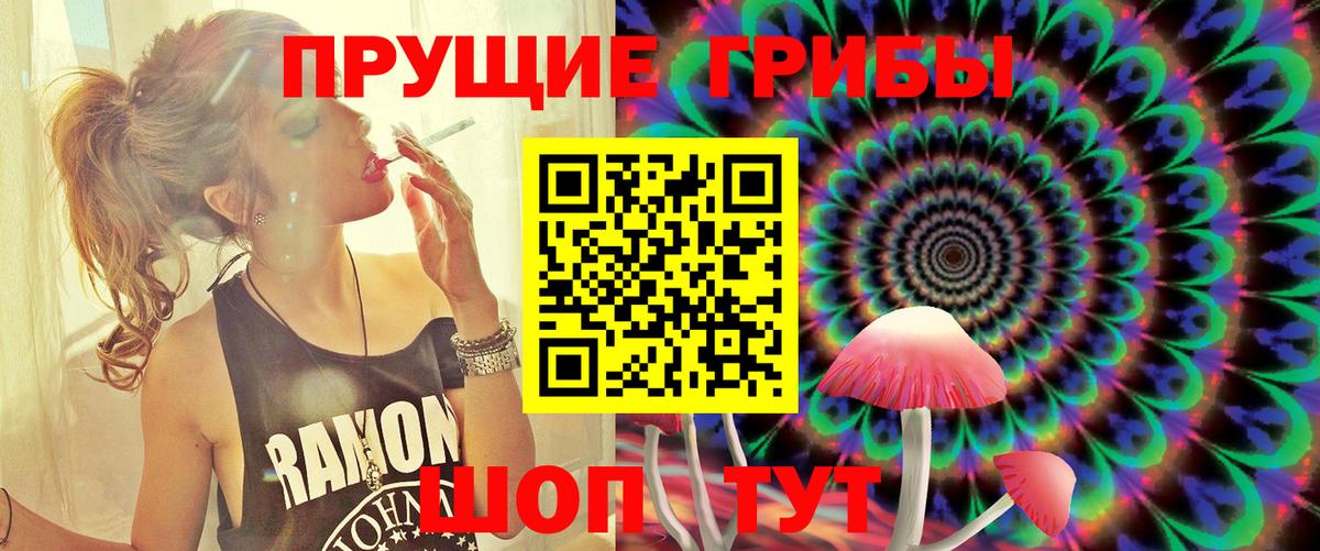Выборг  Галлюциногенные грибы GOLDEN TEACHER  Вход с VPN 